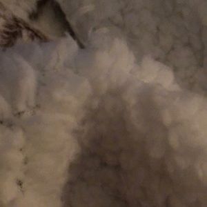 Meet your Posher, Ethan